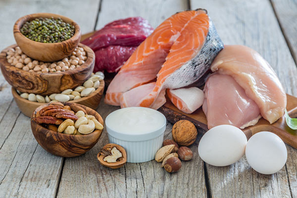 high protein diets