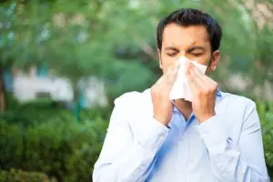 St. Louis allergy season