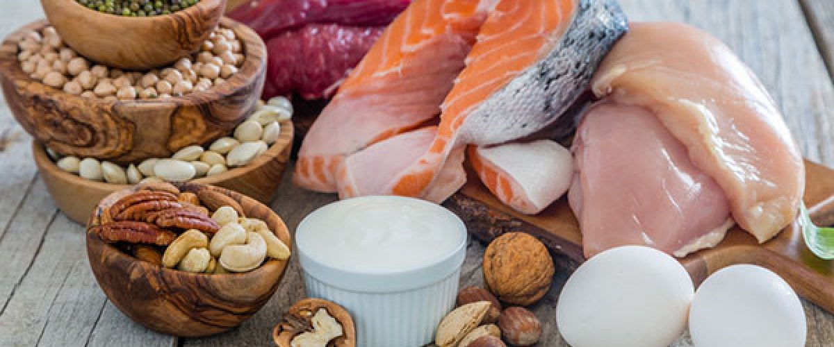 high protein diets